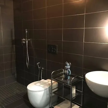 New & Modern Design With Private Garden City Center Ferrare